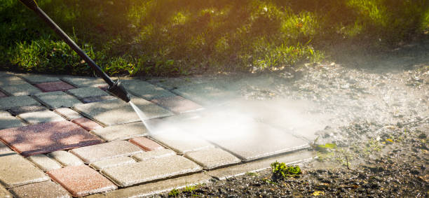 Best Dumpster Area Cleaning  in Rogersville, TN